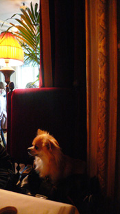 c0052933_1739239.jpg