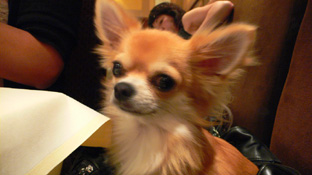 c0052933_21303224.jpg