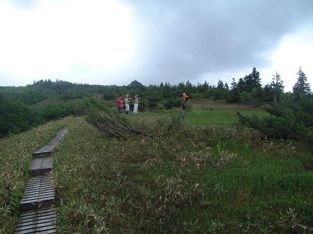 e0010134_7524931.jpg
