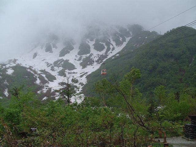e0010134_834944.jpg