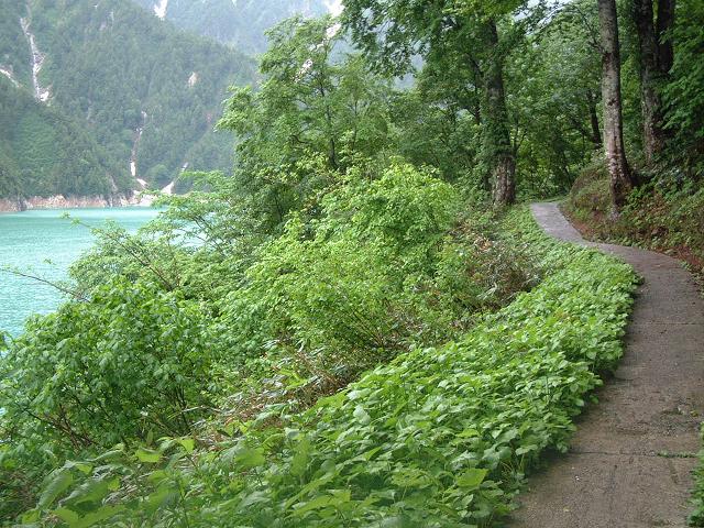 e0010134_882644.jpg