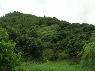 c0008439_17152596.jpg