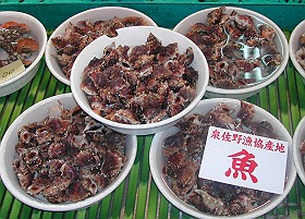 c0041039_827699.jpg