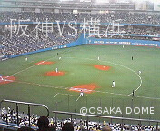 c0046340_0124111.jpg