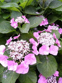 f0032147_2294862.jpg