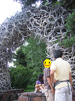 f0006855_1302364.jpg