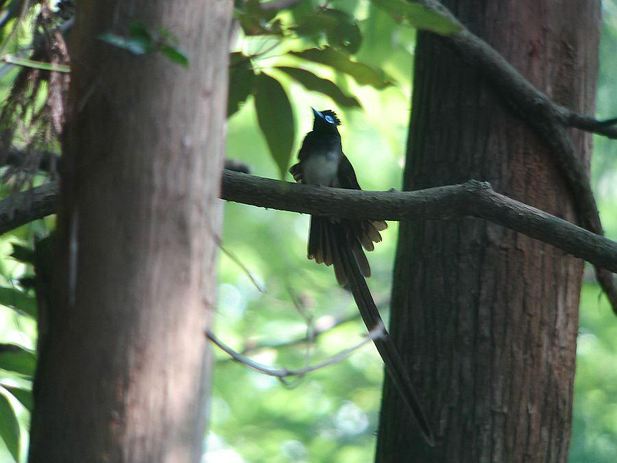 f0103860_1421745.jpg