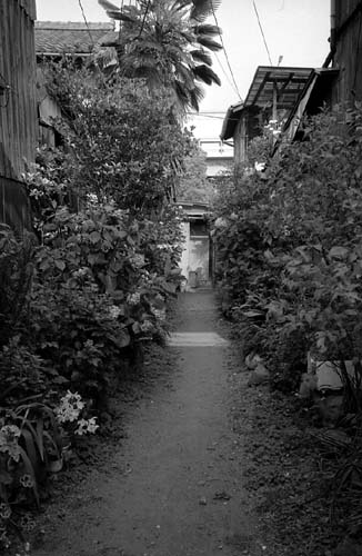 d0039162_22404724.jpg