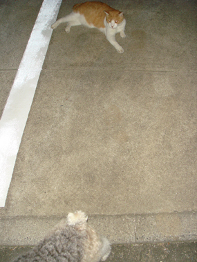 b0091373_19291599.jpg