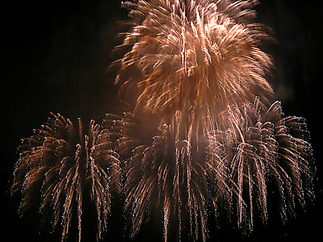 e0061902_138857.jpg