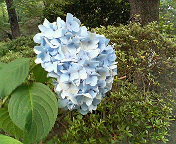 e0040804_10415686.jpg