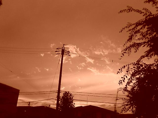 d0071507_20194531.jpg