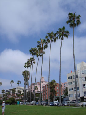 a0068810_1426217.jpg
