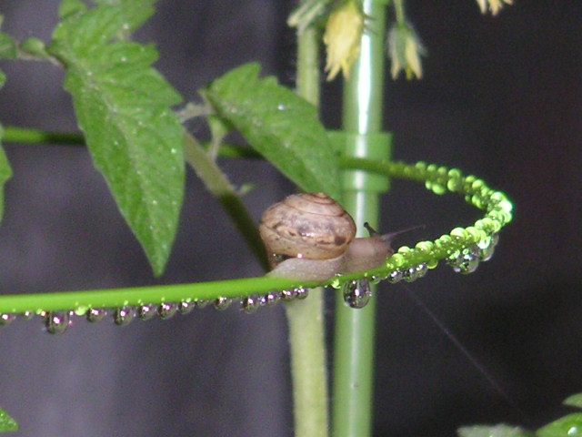 a0020929_18164658.jpg