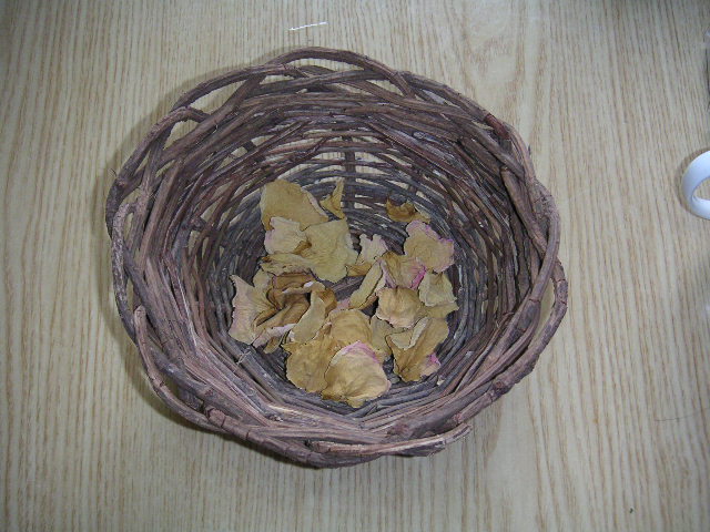a0020929_975198.jpg