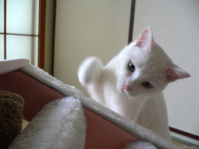 f0073833_1716469.jpg