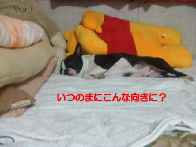 f0059334_9181359.jpg