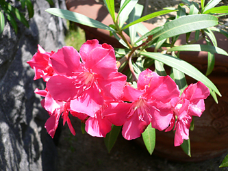 c0069048_6451692.jpg