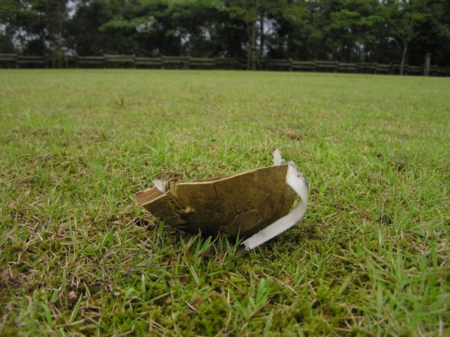 a0052156_22214438.jpg