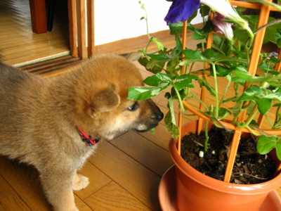 b0088173_2012161.jpg