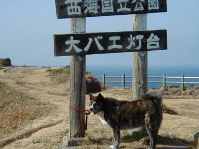 b0088173_20213396.jpg