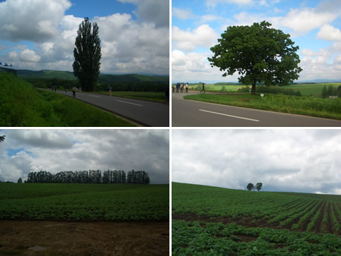 d0074578_10303052.jpg