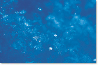 f0059779_19535449.jpg