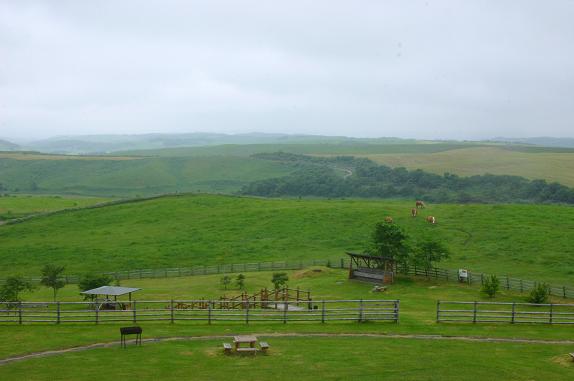 e0071185_1723250.jpg