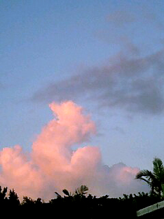 c0068090_13305590.jpg