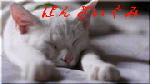 d0052096_12552237.gif