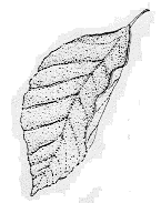 f0100920_7443852.gif