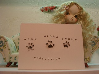 d0023323_2316877.jpg