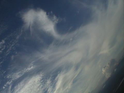 e0055023_139113.jpg