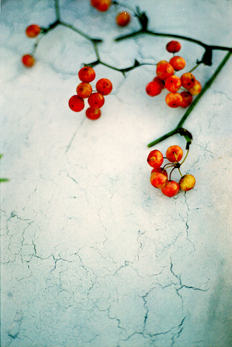 c0039630_14563736.jpg