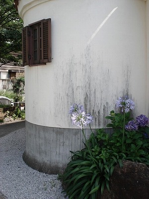 c0038334_2284394.jpg