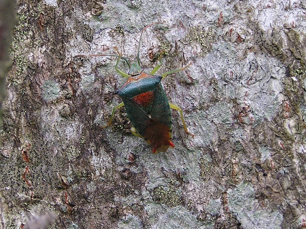 b0099538_21464440.jpg