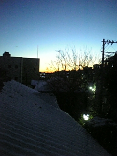 a0076043_11212794.jpg
