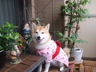 f0075043_21132839.jpg