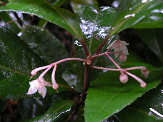 c0069048_6173229.jpg