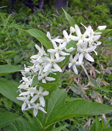 a0001354_22163928.jpg