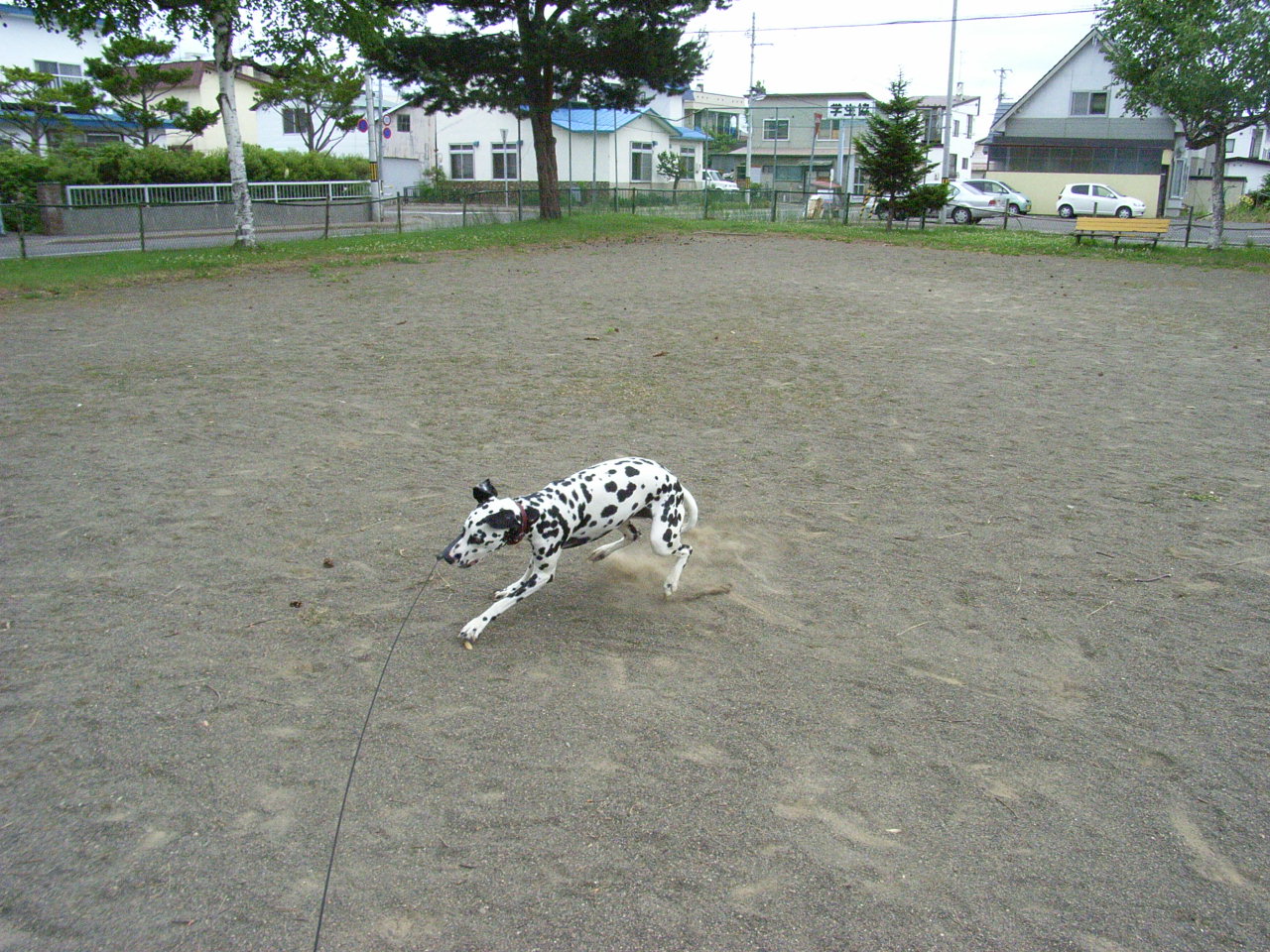 a0072064_21445559.jpg