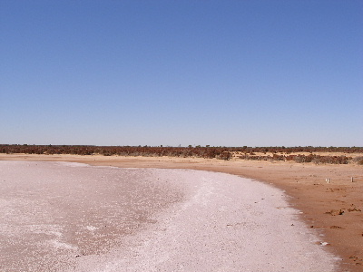 b0085766_1240455.jpg