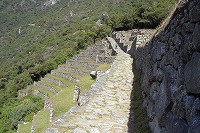 f0059671_231625.jpg