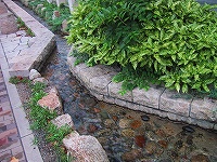 b0073782_16502633.jpg