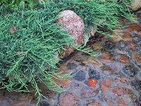b0073782_16503942.jpg