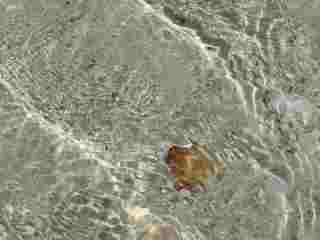 b0016292_23595524.jpg