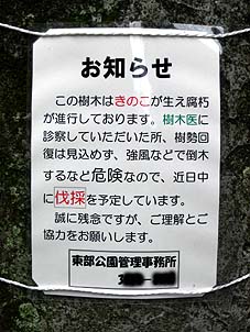 c0004193_16391758.jpg