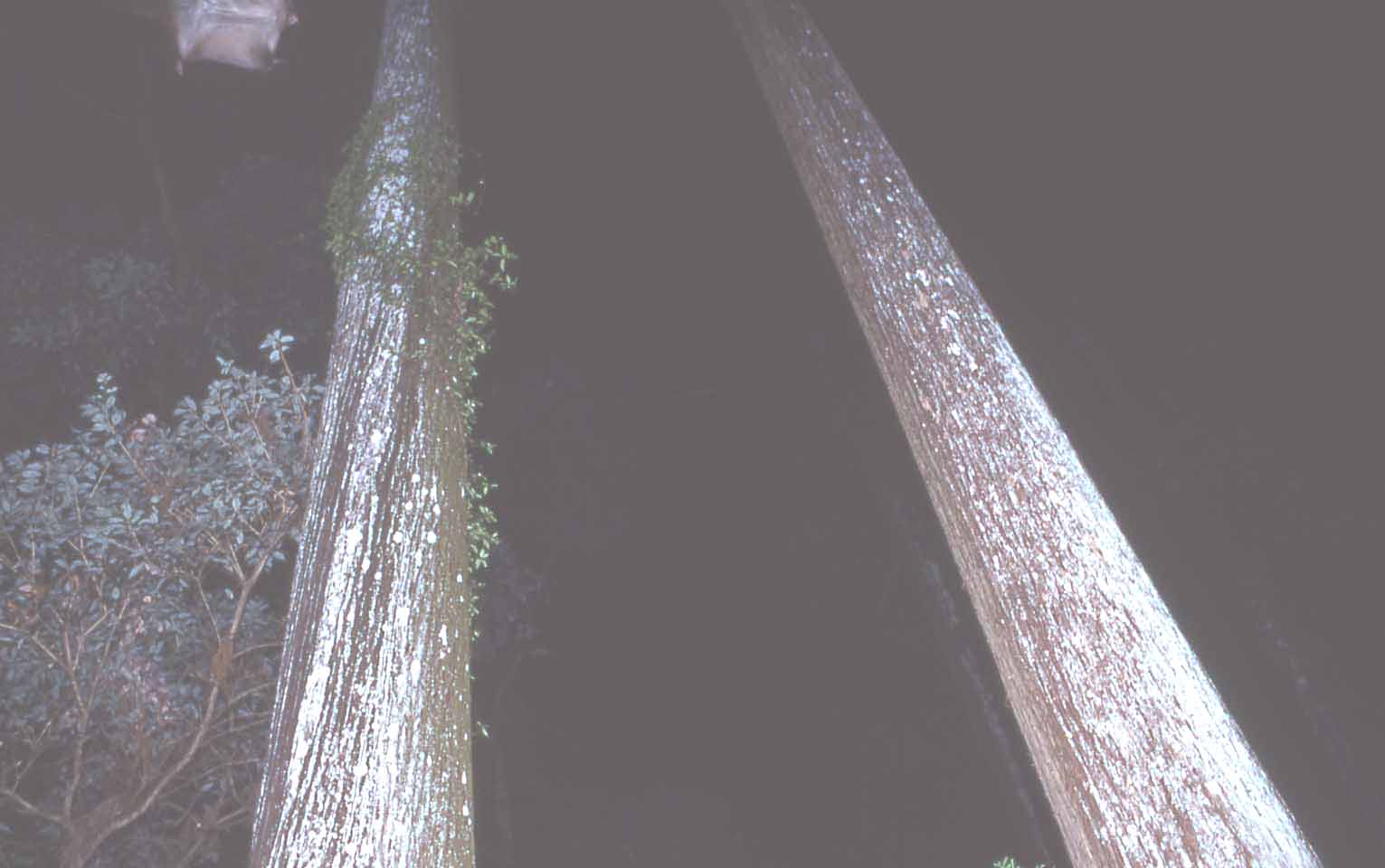 f0047593_14161858.jpg