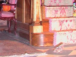 e0039100_22583974.jpg
