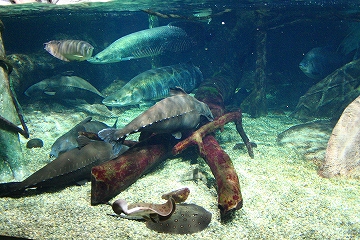 f0034007_1123779.jpg